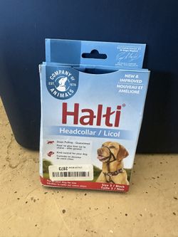 Dog Head Halti Training Collar