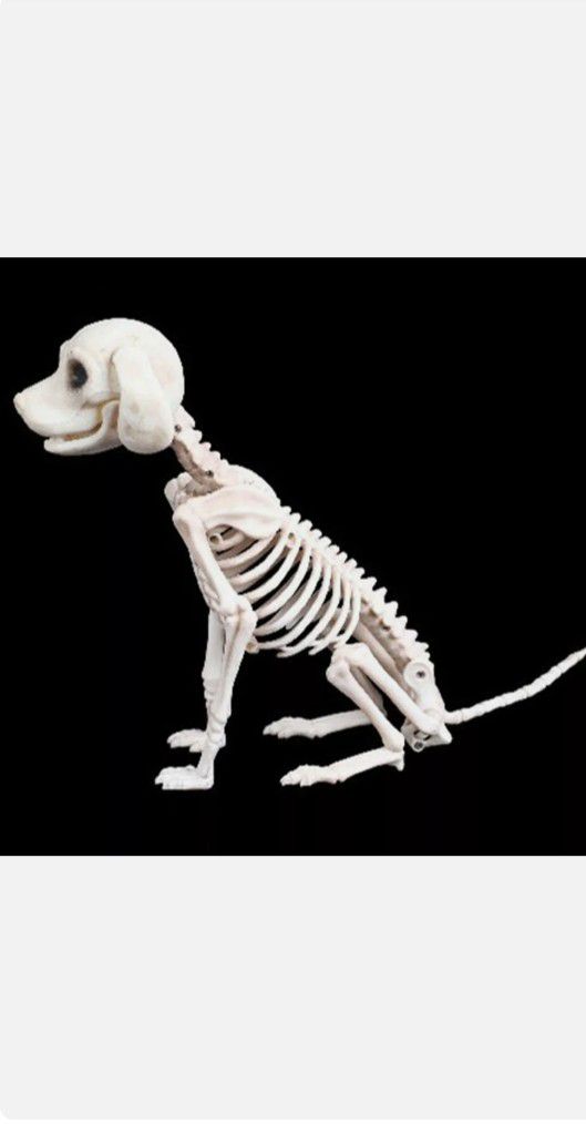 Pet Dog Skeleton Outdoor Indoor Halloween Decoration - Skeleton Arises from Grave Decoration Perfect for Garden - Scare Trick Or Treaters - Dog Skull