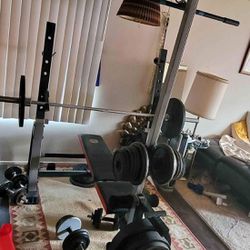 Full Home Gym Setup with Olympic Barbell and Weights, Lat Extension, Leg Extension, and Curl Bench