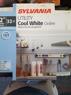 Sylvania 12" Circline Cool White 4 pin lights