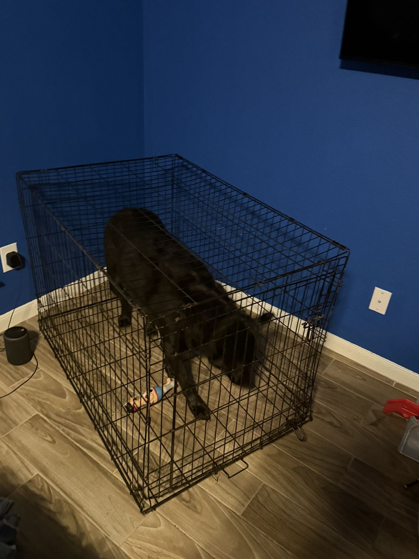 Dog Crate
