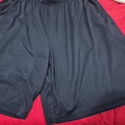 Mens Shorts Sz Xxl Nike $5