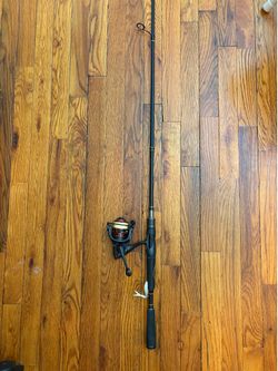 Lew’s Reactor 7’M Spinning Rod with Picsifun Flame 3000 Combo