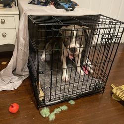 Medium Foldable Dog Crate 