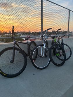 black oil 29er