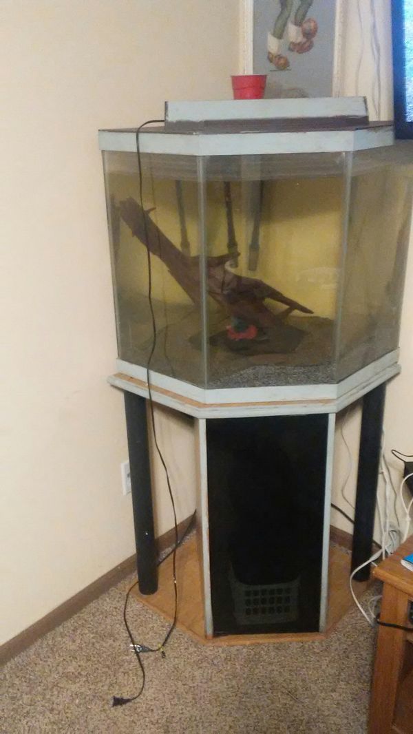 55 75 Gallon Corner Tank And Stand With Canister Filter For In Indianapolis Offerup Fish Tank For Due To Upgrade Nice Size Corner Pentagon Shape Originally In Black Now Painted White Really Good Condition And No