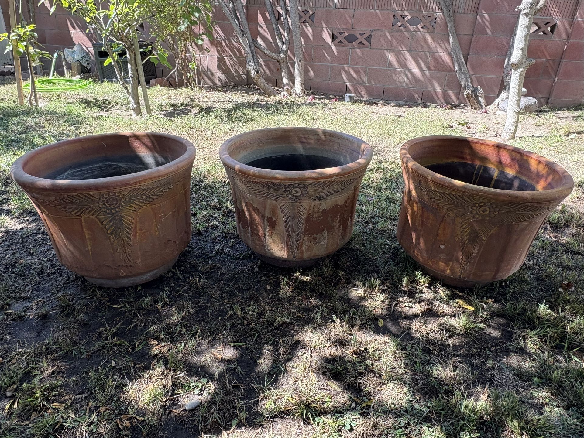 Plant Pots