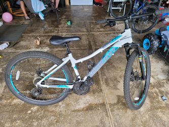 Schwinn Bike
