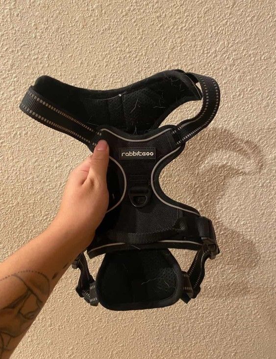 Large Dog Harness