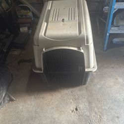 Dog Kennel