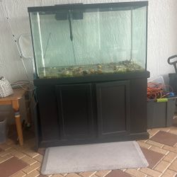 Fish Tank 