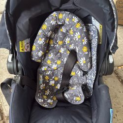 Baby Rear facing  Car Seater 