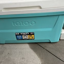 Igloo Cooler