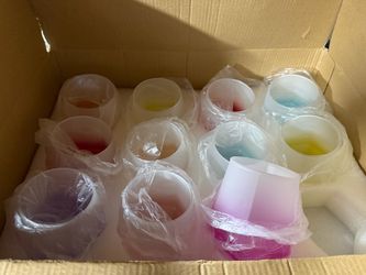 Frosted Stemless Wine Glasses Set of 12