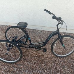 Adult Schwinn Tricycle
