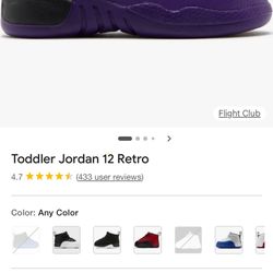 Toddler Jordan Retro 12