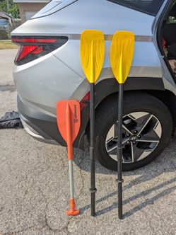 Paddles (3)