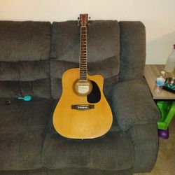 Johnson Electric Acoustic Guitar 
