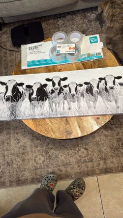 Cow Picture