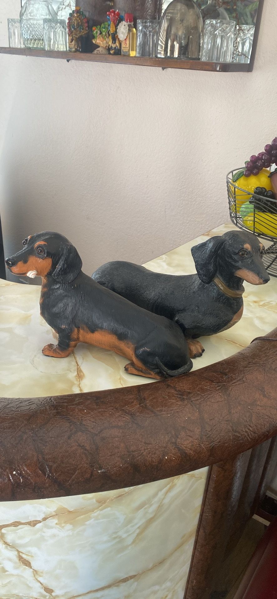  Dachshund