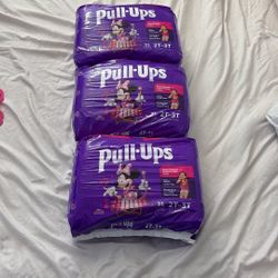 Pull Ups 2t-3t
