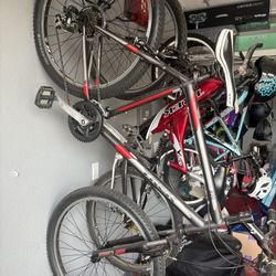 Trek 820 Mountain Bike 