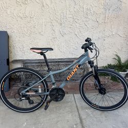 Giant XTC Jr Mountain Bike
