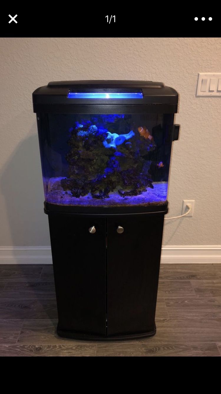 Aquarium Tank. 30 gallon BioCube. NO PETS. Only tank and stand