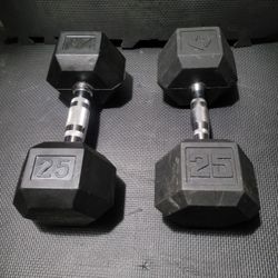 25lbs Dumbells Weights 