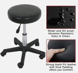 Hydraulic Adjustable Salon Rolling Stool Massage Facial Spa Tattoo Dental Chair