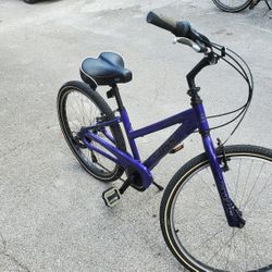 Boss Woman Bike