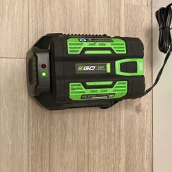 EGO Charger & Battery