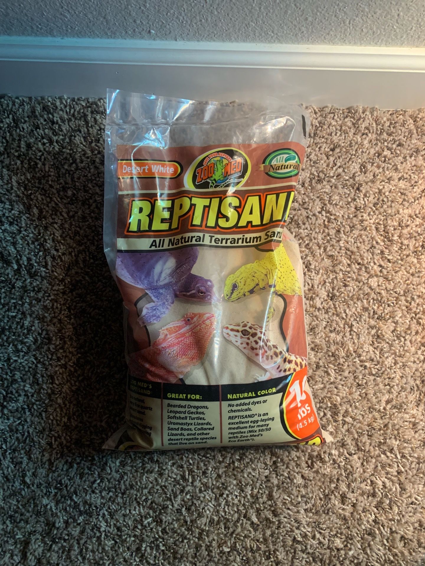 Reptile sand