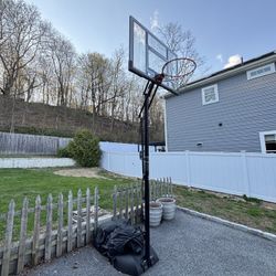 Lifetime 52-in Shatterproof Portable Basketball Hoop