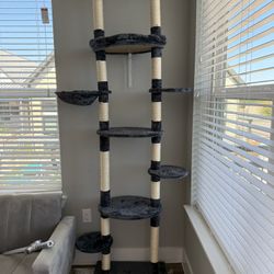 Tall cat Tree