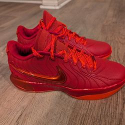 Nike LeBron XXI Crimson Red Basketball Shoes Size 11