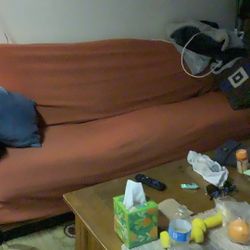 Free Hide A Bed Couch Queen Size