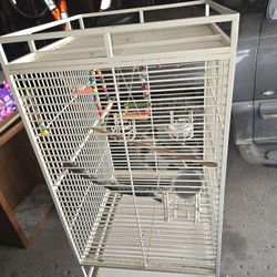 Bird Cage 