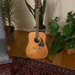 Ibanez Performance 6-String Acoustic  Guitar 
