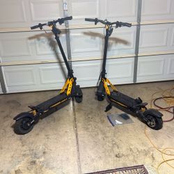 2 Ausome Leopard Scooters