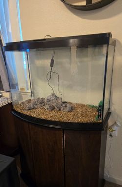 Fish Tank w/Stand 60$ OBO