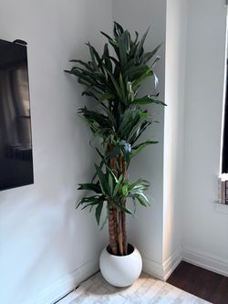 Large Artificial Tropical Tree in White Pot