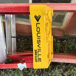 10 foot A frame ladder