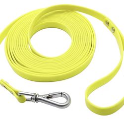 Dog / Cat leash.  5ft