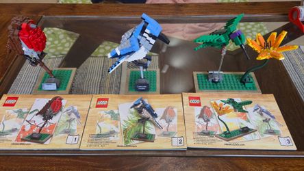 LEGO Ideas Birds Set – Built with Instructions