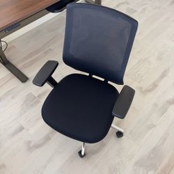 Ergonomic Office Chair