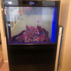 painting rich Large Full-Sized Fish Tank – A Beautiful Centerpiece for Your Home