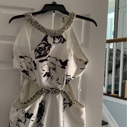 Prom Dress Or Special Occasion Dress