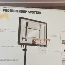 Pro Mini Hoop System 