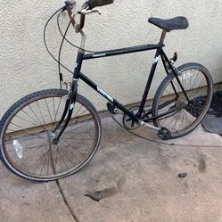 Bicycle